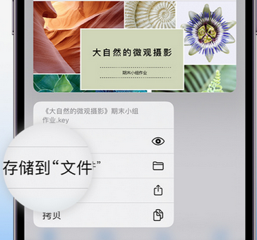 临邑apple维修中心分享iPhone文件应用中存储和找到下载文件