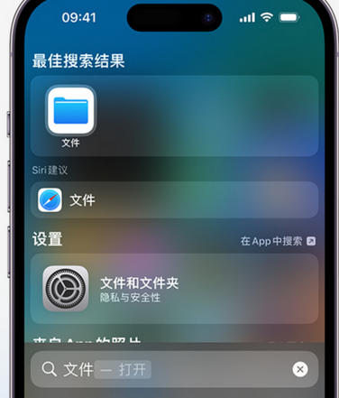 临邑apple维修中心分享iPhone文件应用中存储和找到下载文件 