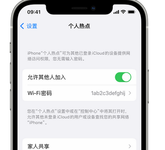 临邑apple服务站点分享iPhone上个人热点丢失了怎么办 