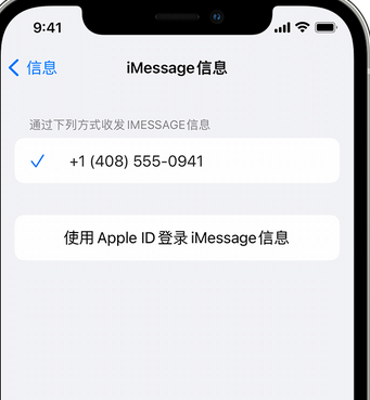 临邑apple维修iPhone上无法正常发送iMessage信息 