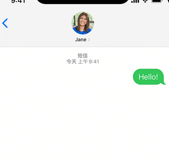 临邑apple维修iPhone上无法正常发送iMessage信息