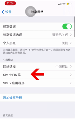 临邑苹果14维修网分享如何给iPhone14的SIM卡设置密码 