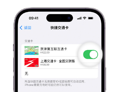 临邑apple维修点分享iPhone上更换Apple Pay快捷交通卡手绘卡面 