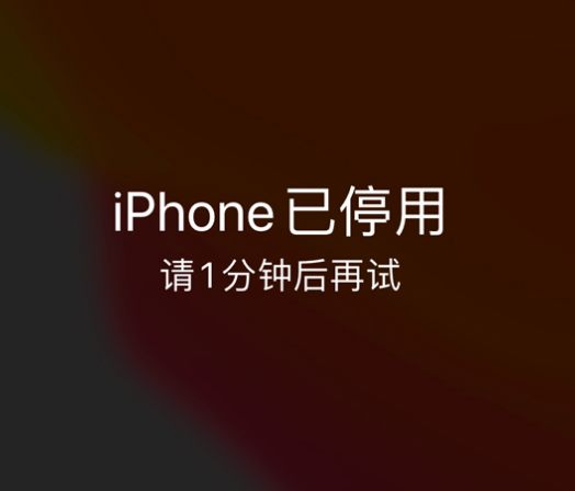 临邑苹果手机维修分享:iPhone 显示“不可用”或“已停用”怎么办？还能保留数据吗？ 