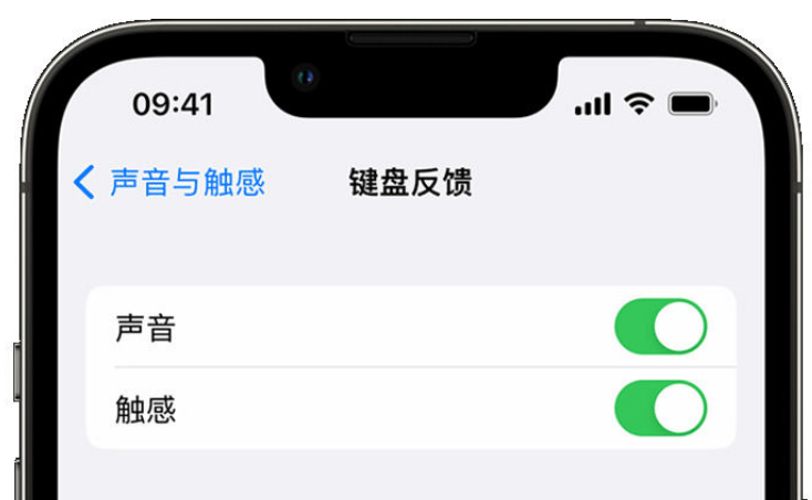 临邑苹果手机维修分享iPhone 14触感键盘使用方法 