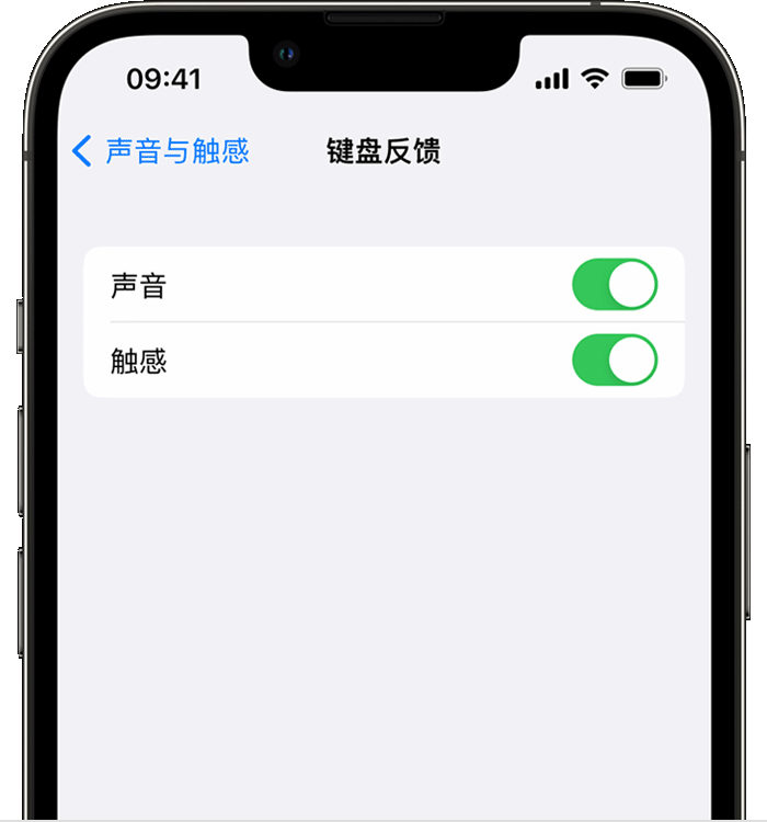 临邑苹果14维修店分享如何在 iPhone 14 机型中使用触感键盘 