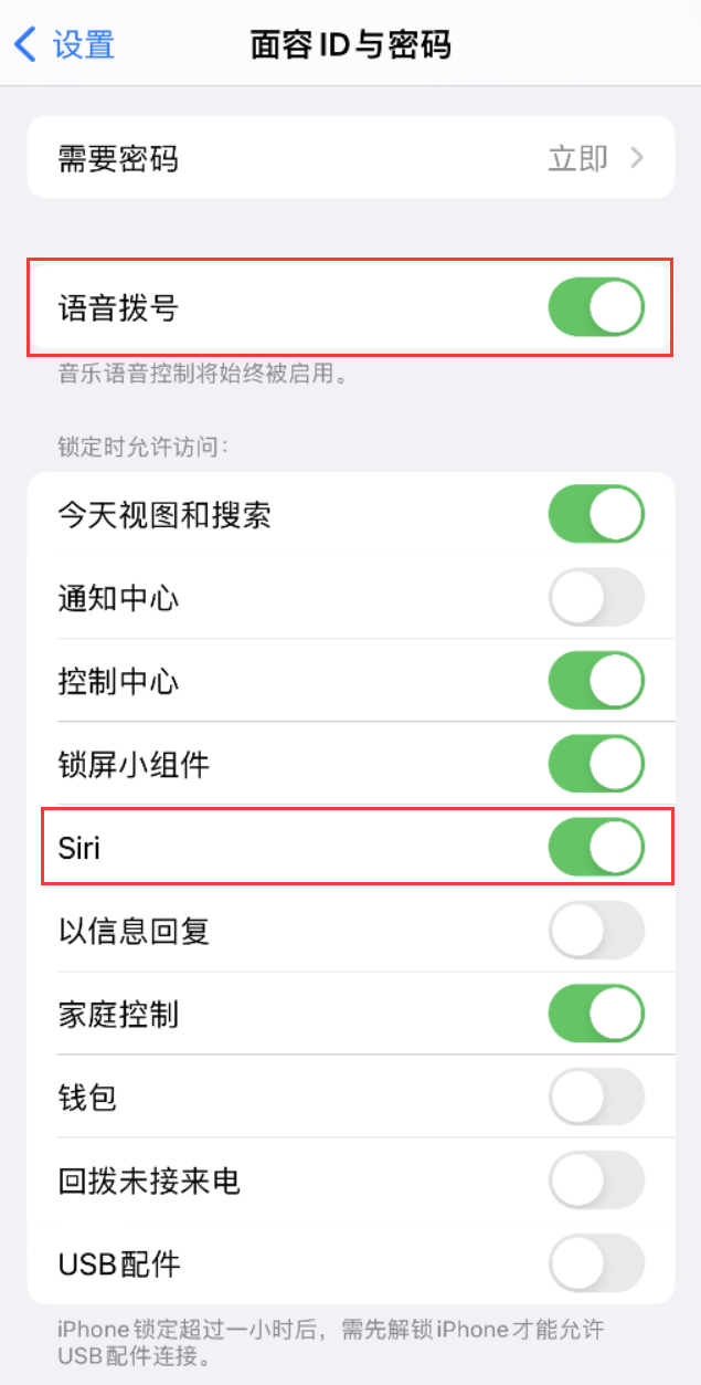 临邑苹果维修网点分享不解锁 iPhone 的情况下通过 Siri 拨打电话的方法 