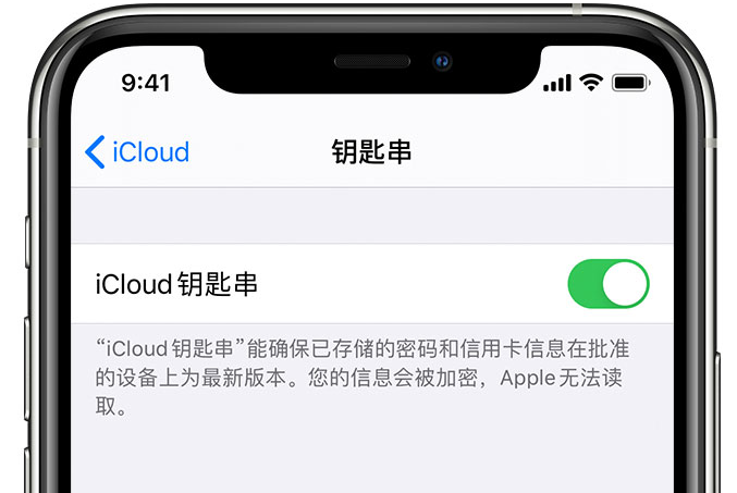 临邑苹果手机维修分享在 iPhone 上开启 iCloud 钥匙串之后会储存哪些信息 