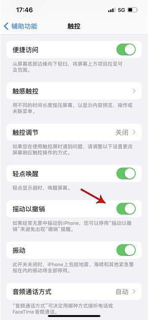 临邑苹果手机维修分享iPhone手机如何设置摇一摇删除文字 